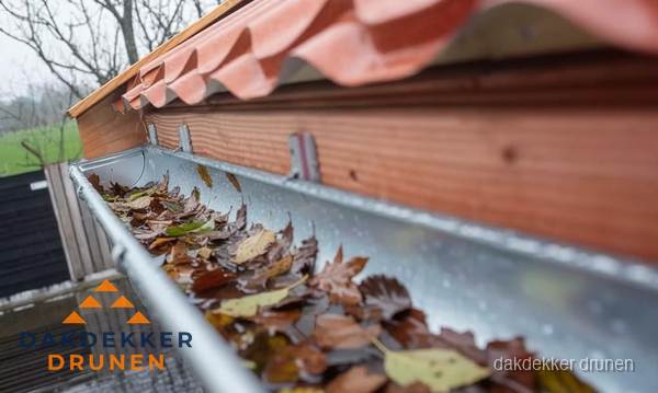Dakgoot vol bladeren die gereinigd moet worden in Drunen Dakgoot vol bladeren die gereinigd moet worden in Drunen